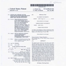 USA Patent  2001