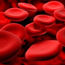 Water treatment for blood transfusion stations