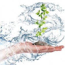 Preparation of water for consumer services